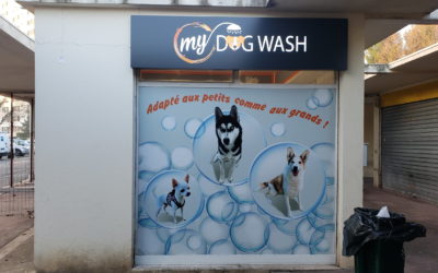 My Dog wash