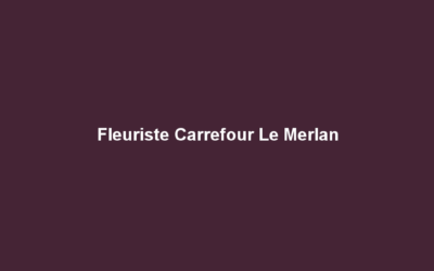 Fleuriste Carrefour Le Merlan