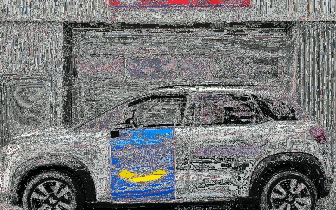 Covering Véhicule à Salon-De-Provence – Design Luxueux